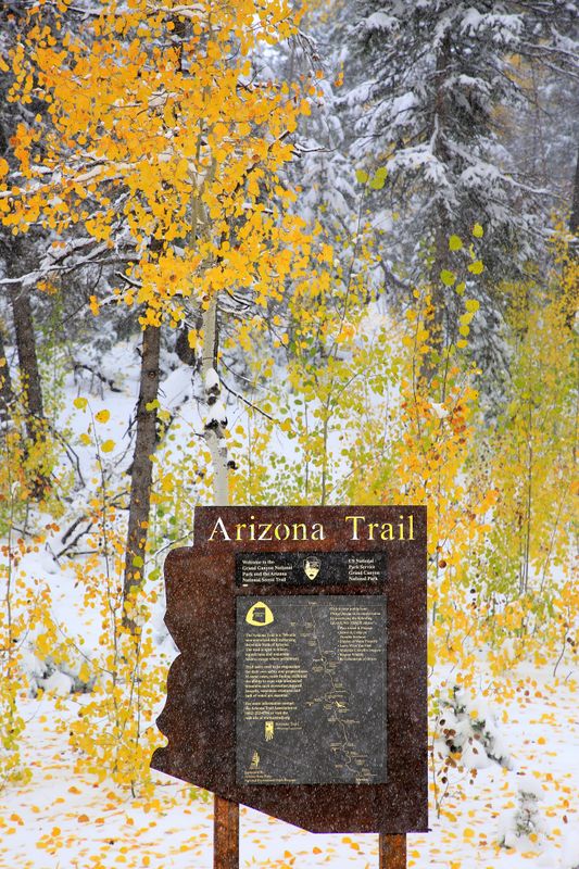 0073-3B9A5869-Arizona Trail on a Snowy Day.jpg