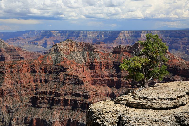 0045-3B9A3661-Grand Canyon North Rim Views.jpg
