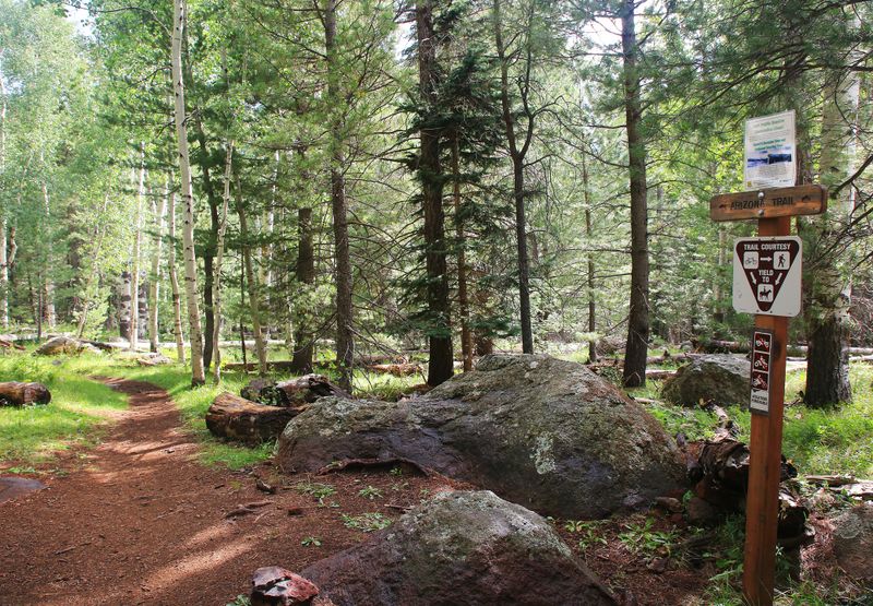 0039-3B9A3758-Arizona Trail.jpg