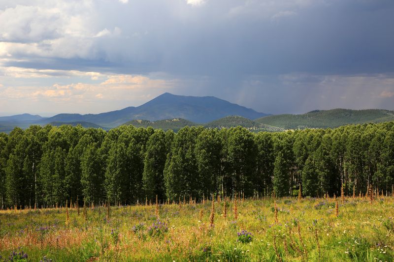 0041-3B9A3666-Snowbowl Views of a Monsoon Storm over Kendrick Mountain.jpg