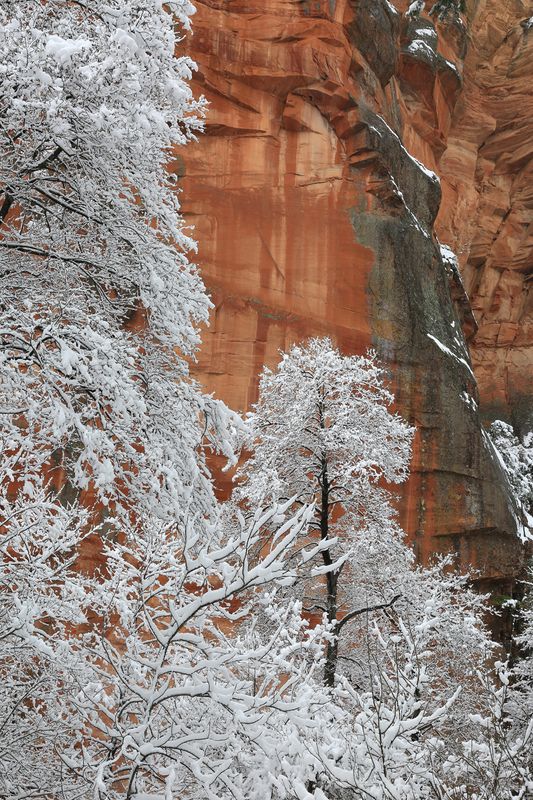 09-3B9A7659-Winter Views in Oak Creek Canyon.jpg