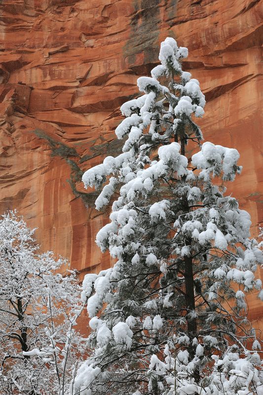 010-3B9A7716-Ken-Winter Views in Oak Creek Canyon.jpg