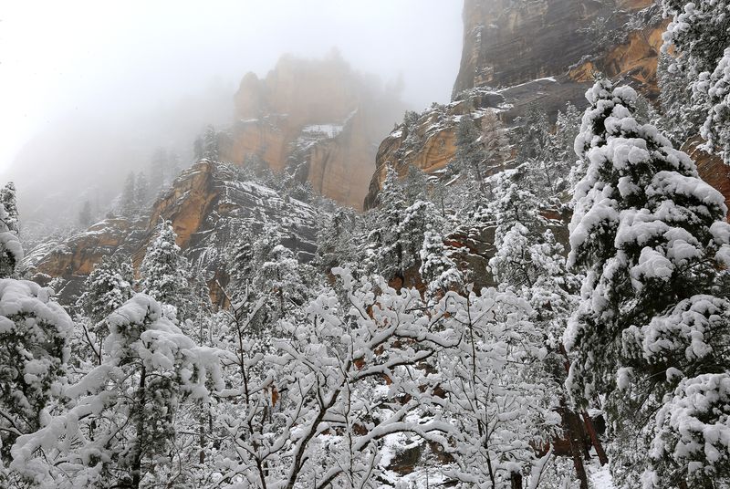 011-3B9A8001-West Fork Winter Views.jpg