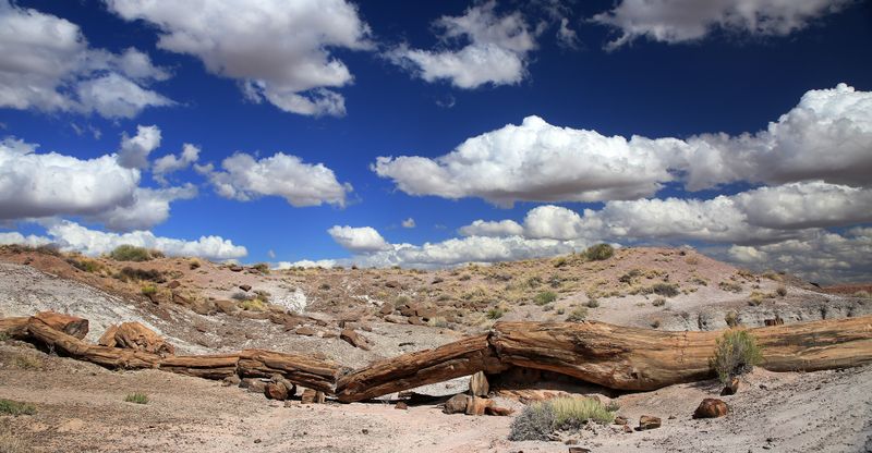 0017-3B9A2878-The collapsed Onyx Bridge in the Painted Desert.jpg