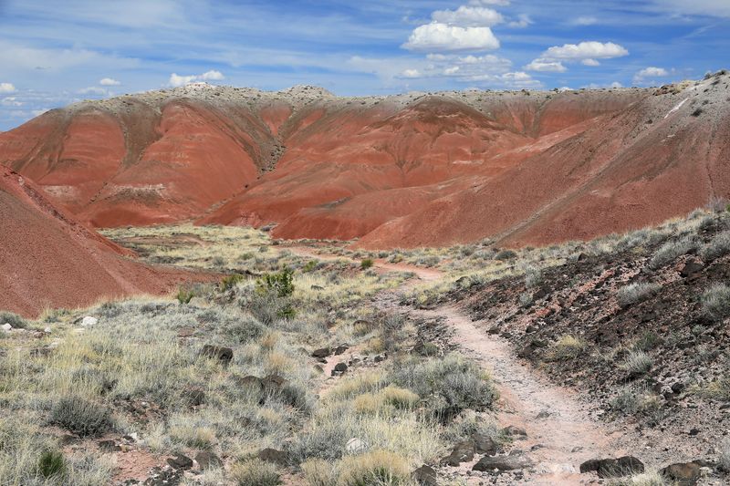 0047-3B9A8497-Trail Views of the Painted Desert.jpg
