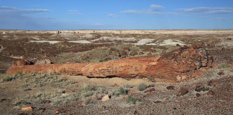 0054-3B9A9244-Petrified Forest National Park.jpg