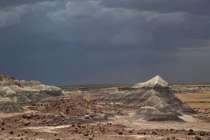 0057-3B9A0743-Petrified Forest National Park Views.jpg
