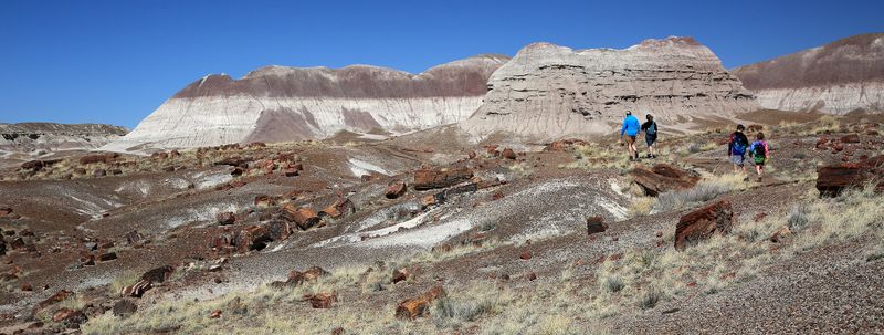 0082-3B9A8841-Hiking along the Long Logs Trail, Petrified Forest National Park.jpg