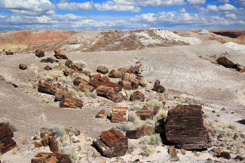 0084-3B9A3160-Painted Desert & Petrified Forest Views.jpg