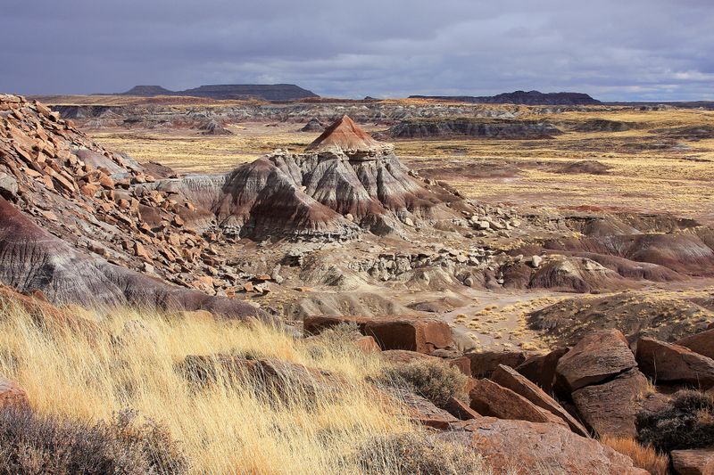 0087-IMG_0360-Beautiful Views of the Painted Desert.jpg
