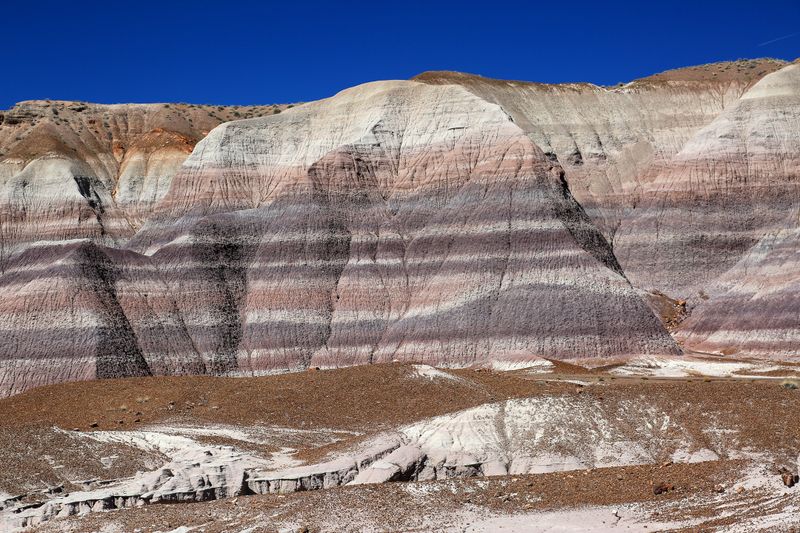 0098-3B9A7917-Inspiring Painted Desert Views.jpg