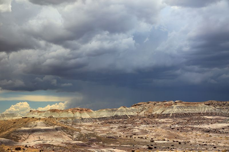 0099-3B9A0805-Storm Clouds over the Painted Desert, Petrified Forest National Park.jpg