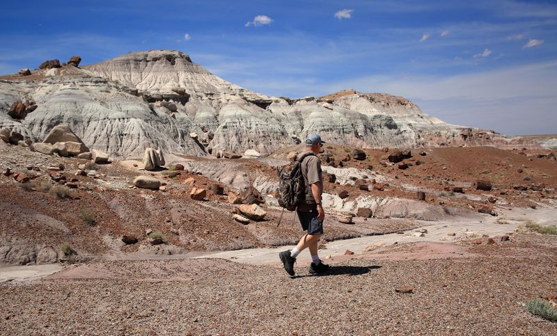00101-3B9A0421-Hiking in the Petrified Forest National Park.jpg