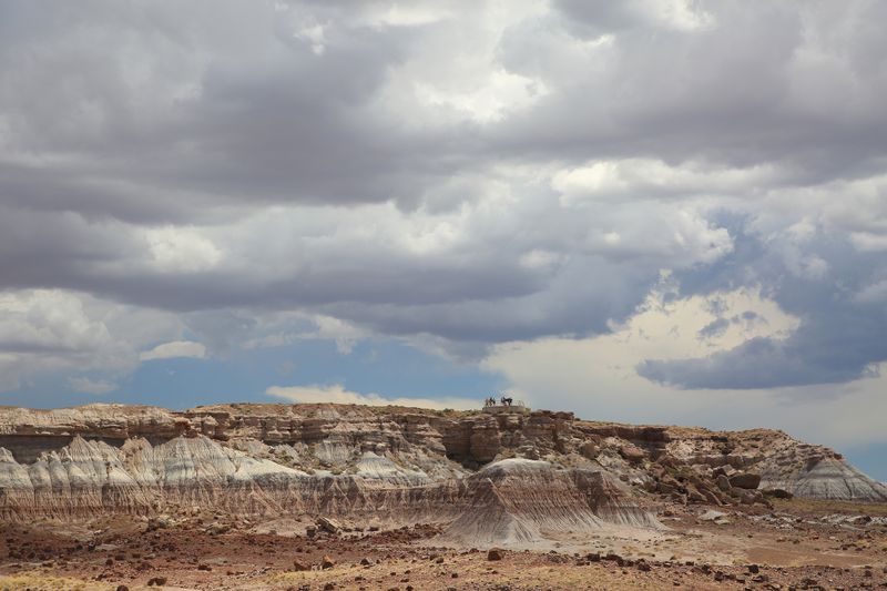 00117-3B9A0719-Spectacular Petrified Forest Views from the Jasper Forest Overlook.jpg