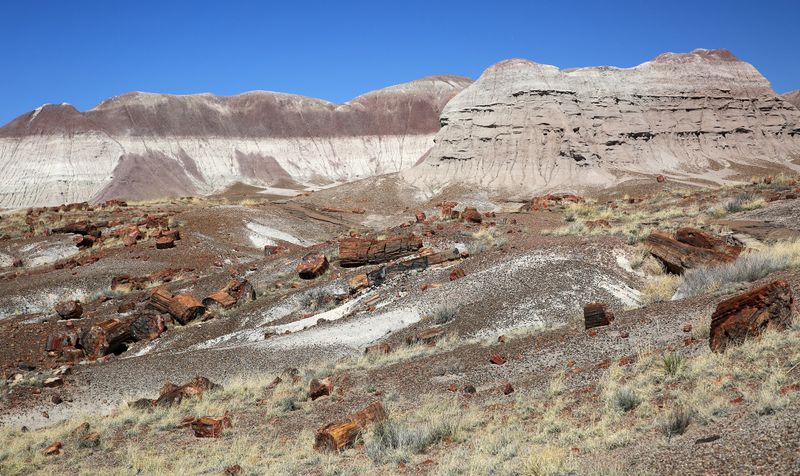 00143-3B9A8828-Beautiful Painted Desert Views along the Long Logs Trail.jpg