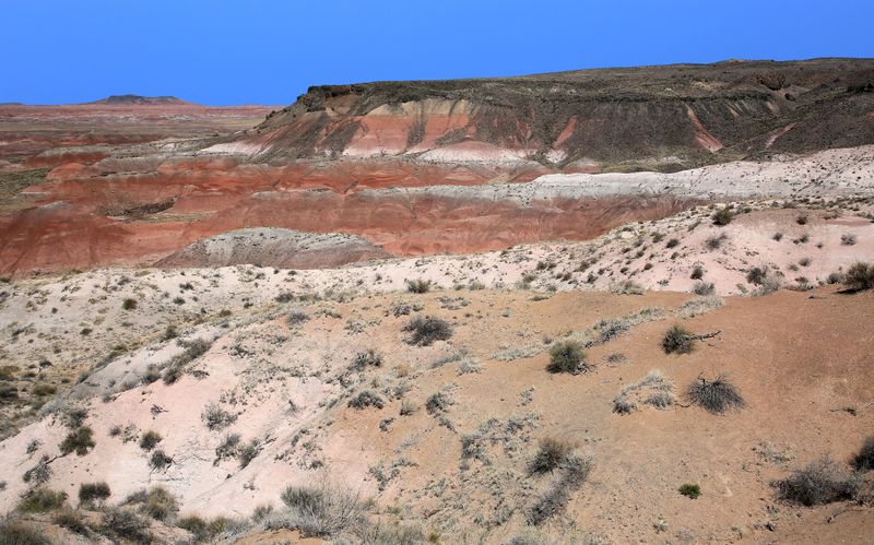 00156-3B9A8240-Painted Desert Views from Whipple Point.jpg