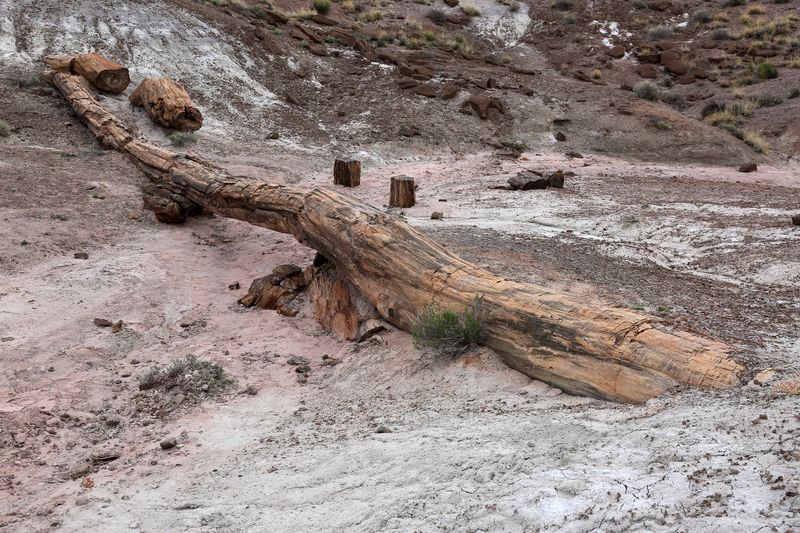 00194-3B9A8676-Onyx Bridge, Petrified Forest National Park.jpg