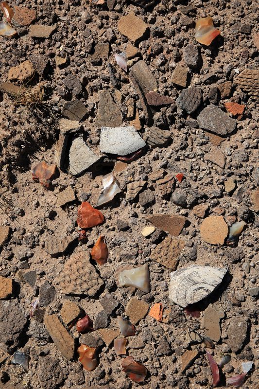 00220-3B9A1957-Broken Pieces of Pottery at the Petrified Forest National Park.jpg