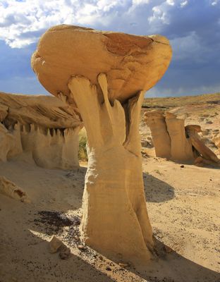 004-3B9A8304-Awesome Mushroom Rock in the Valley of Dreams.jpg