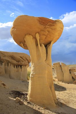 0016-3B9A8351-Magnificent Mushroom Rock in the Valley of Dreams.jpg
