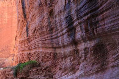 0040-3B9A1840-Towering Walls of Buckskin Gulch.jpg