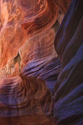 0068-IMG_9549-Textures & Colors of Buckskin Gulch.jpg