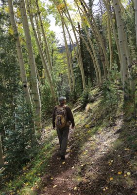 0033-3B9A6038-The Joys of Hiking in the Wilderness.jpg
