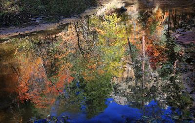 0035-3B9A7805-Fall Color Reflections in Oak Creek.jpg
