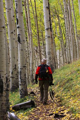 0037-3B9A6346-A Walk in the Woods is Good for the Soul.jpg