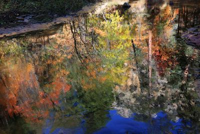 0040-3B9A7814-Reflections of Autumn Colors in Oak Creek.jpg