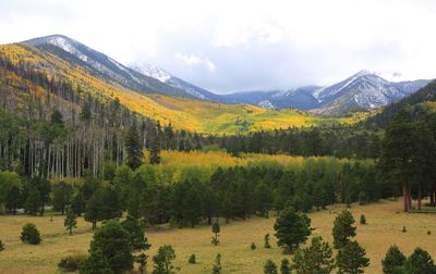 0041-3B9A6502-Lockett Meadow Autumn Views.jpg