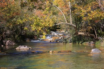 0057-3B9A9213-Autumn in Northern Arizona.jpg
