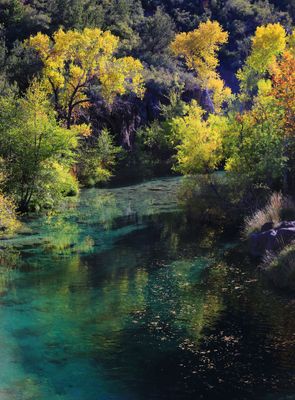 0059-3B9A0214-The Glory of Fossil Creek in the Fall.jpg