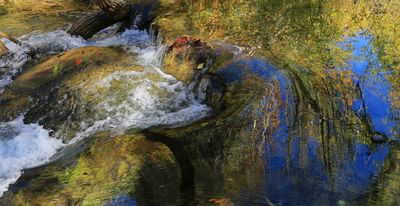 0060-3B9A9592-Creek Reflections of Autumn.jpg