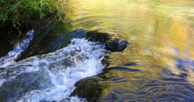0061-3B9A9869-Fossil Creek Reflections of Fall.jpg