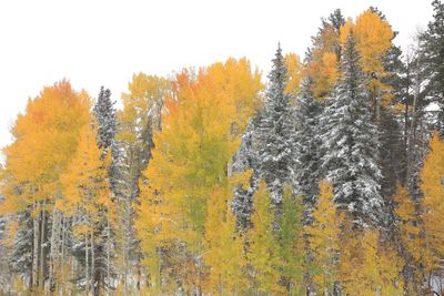0071-3B9A5850-Winter & Fall in Northern Arizona.jpg