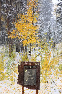 0072-3B9A5865-Arizona Trail on a Snowy Day.jpg