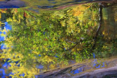 0074-IMG_0084-Reflections of Fall Colors.jpg