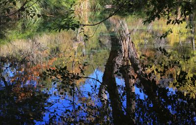 07-3B9A9745-Creek Reflections of Autumn.jpg
