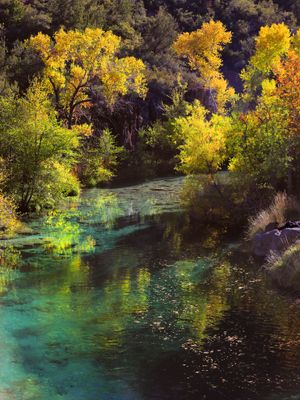 015-3B9A0214-The Glory of Fossil Creek in Autumn.jpg