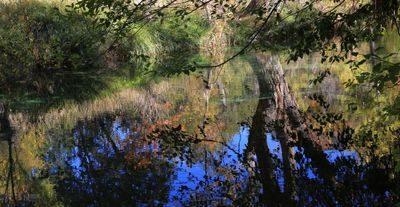 017-3B9A9761-Creek Reflections in Autumn.jpg