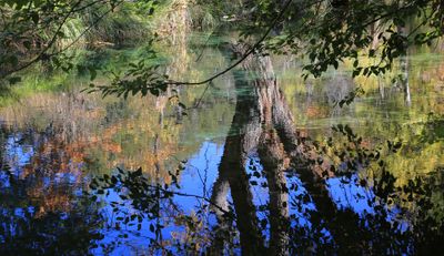 021-3B9A9738-Creek Reflections in Fall.jpg