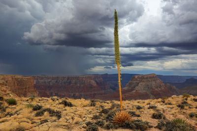 008-3B9A3253-Monsoon Storm over the Grand Canyon.jpg