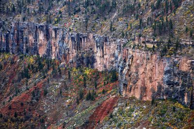 0062-3B9A5781-Grannd Canyon North Rim Transept Canyon Views.jpg