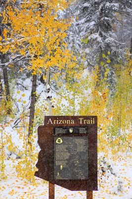 0064-3B9A5869-Arizona Trail on a Snowy Day.jpg