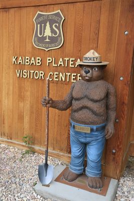 0068-3B9A0495-Smokey the Bear at Kaibab Plateau Visitor Center in Jacob Lake-.jpg