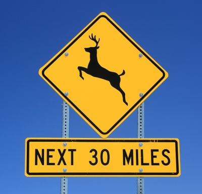 0069-3B9A2094-Watch for Deer in the road sign along Arizona State Highway 67-.jpg