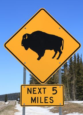 0070-3B9A2106-Watch for Bison in the road sign along Arizona State Highway 67-.jpg