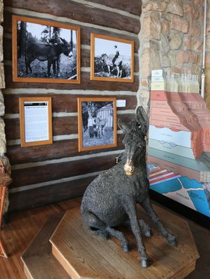 0076-3B9A0656-Bronze Statue of Brighty & his Story in the Lobby of the Grand Canyon Lodge-.jpg