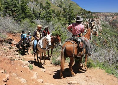 0086-3B9A1625-Mule Riders on the North Kaibab Trail admiring the Grand Canyon-.jpg